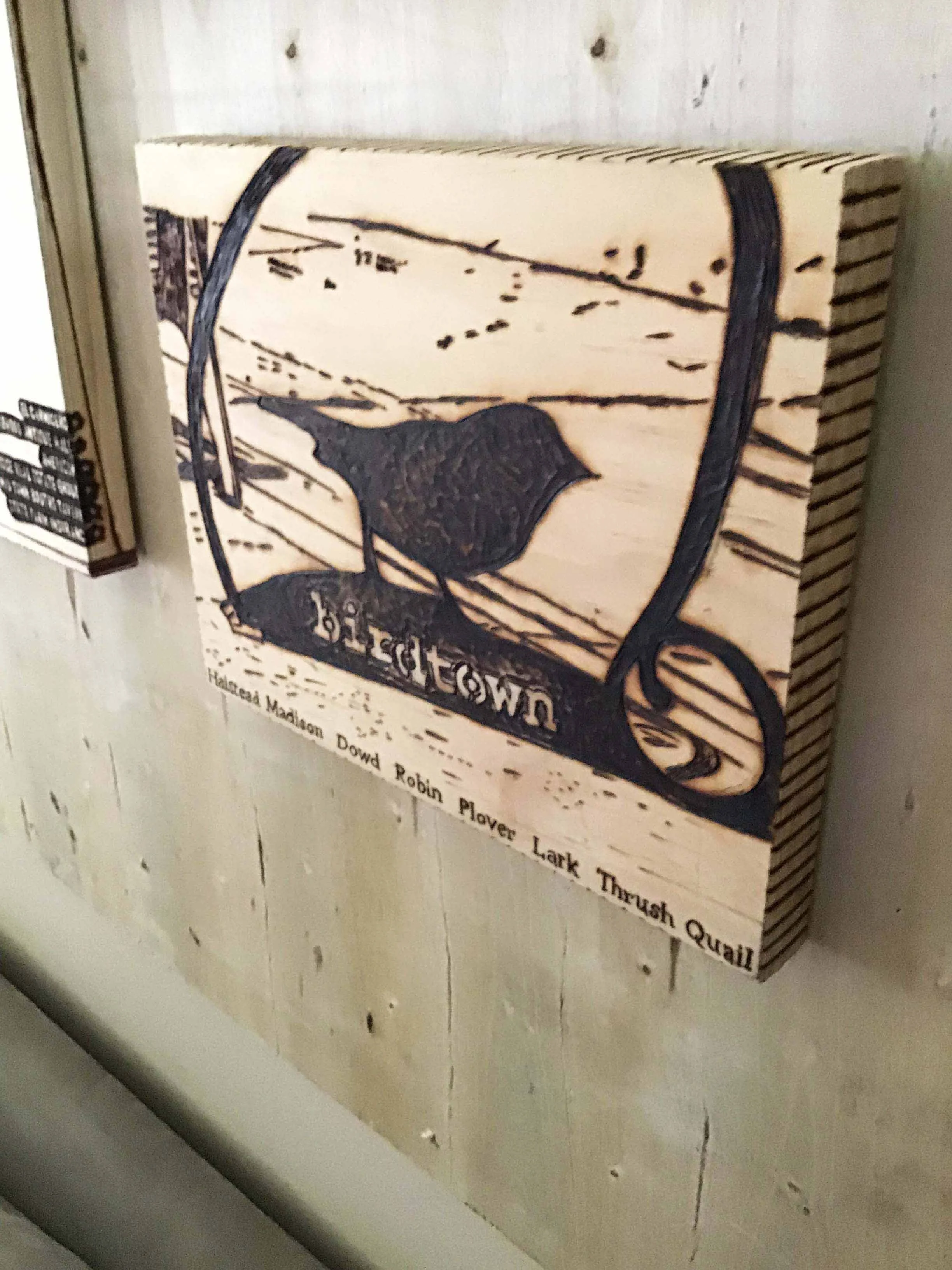 lakewoodohiobirdtown1.jpg