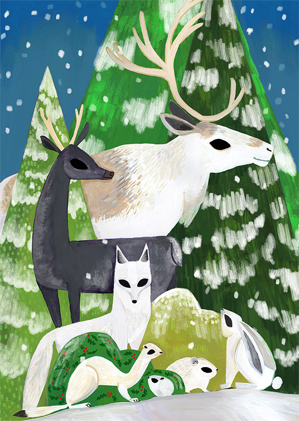 winter-summer-coats-animals-kTanis.gif