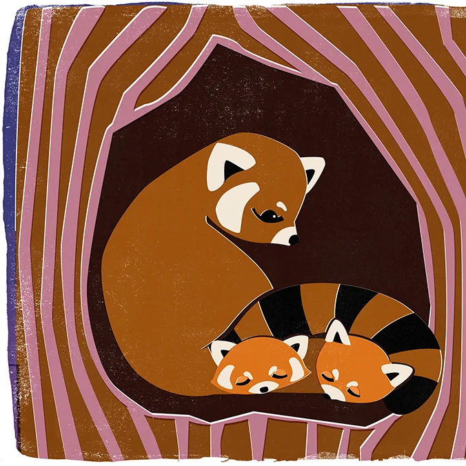 RedPanda.jpg