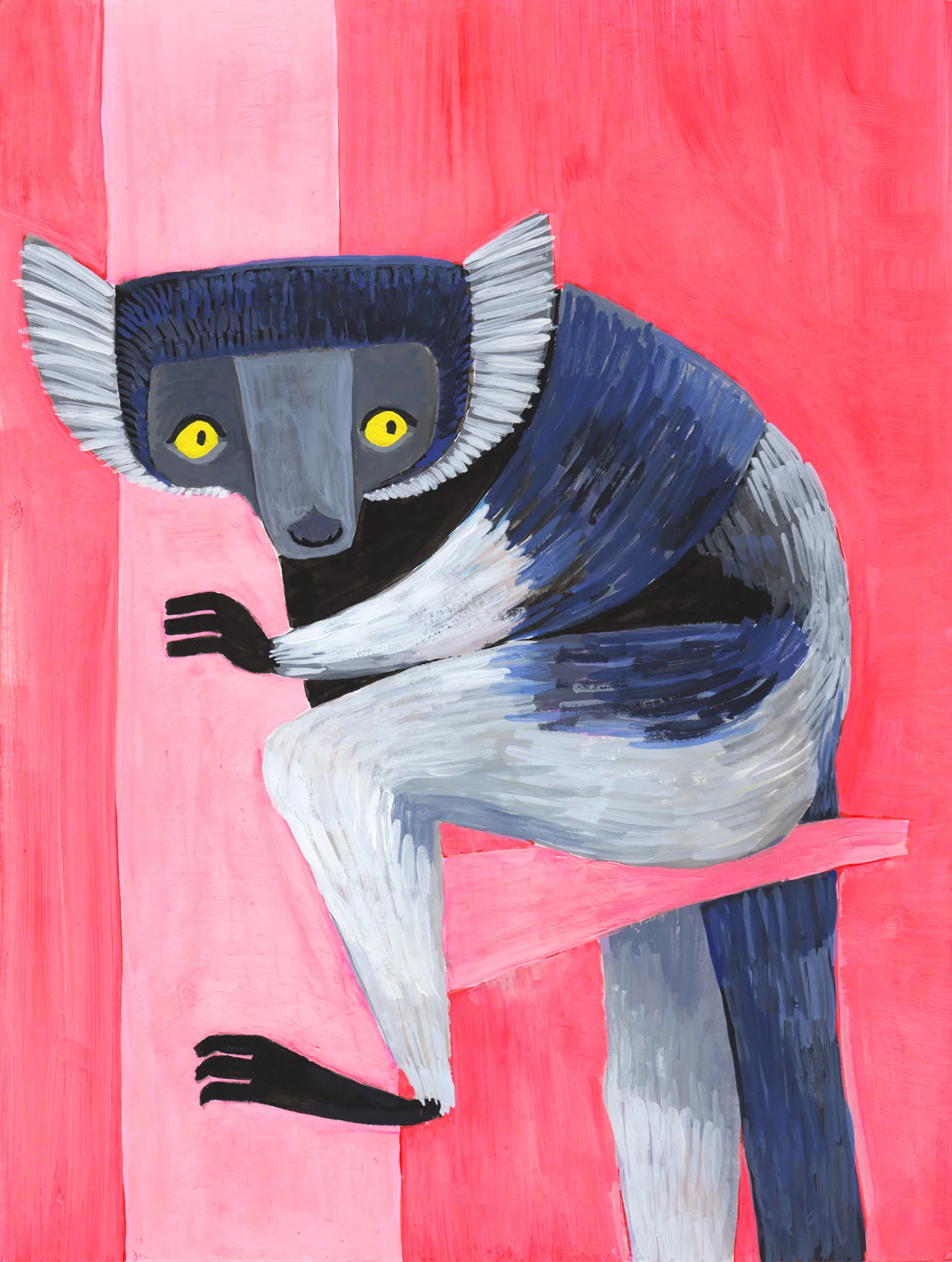 Ruffed Lemur