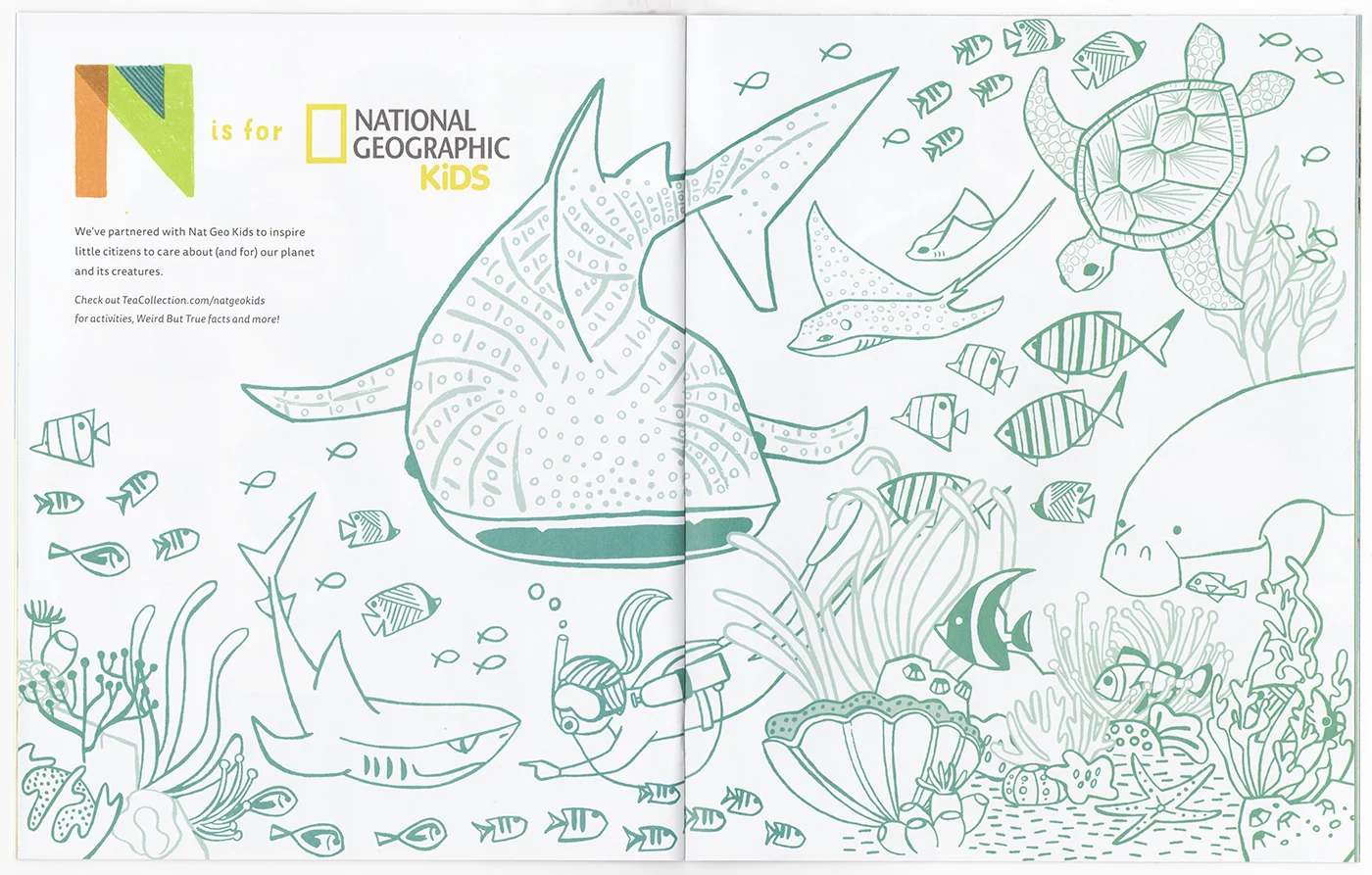Great Barrier Reef Coloring Page
