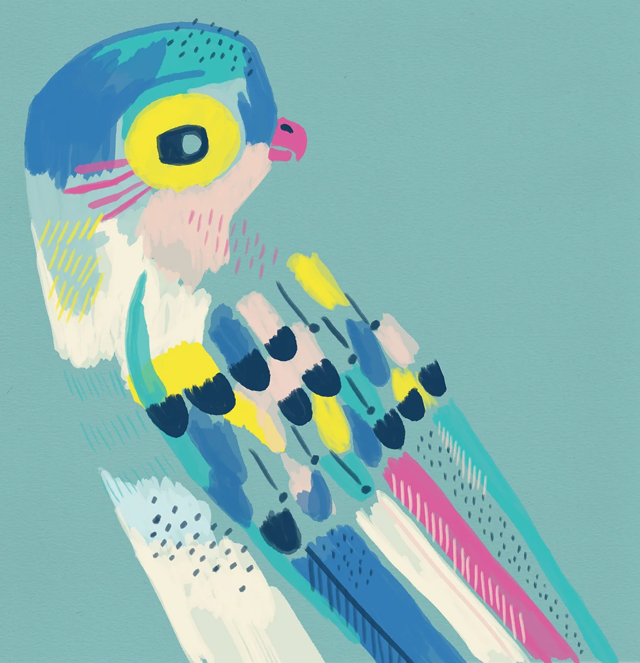 Painted Princess Parrot.jpg