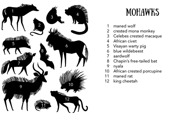 TitleCards-4.25by5.5ForWeb-01.jpg