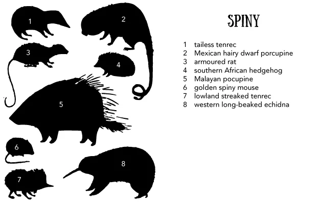 TitleCards-4.25by5.5ForWeb-04.jpg
