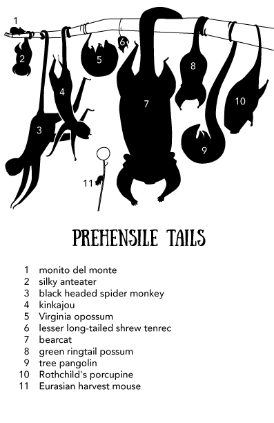TitleCards-4.25by5.5ForWeb-11.jpg