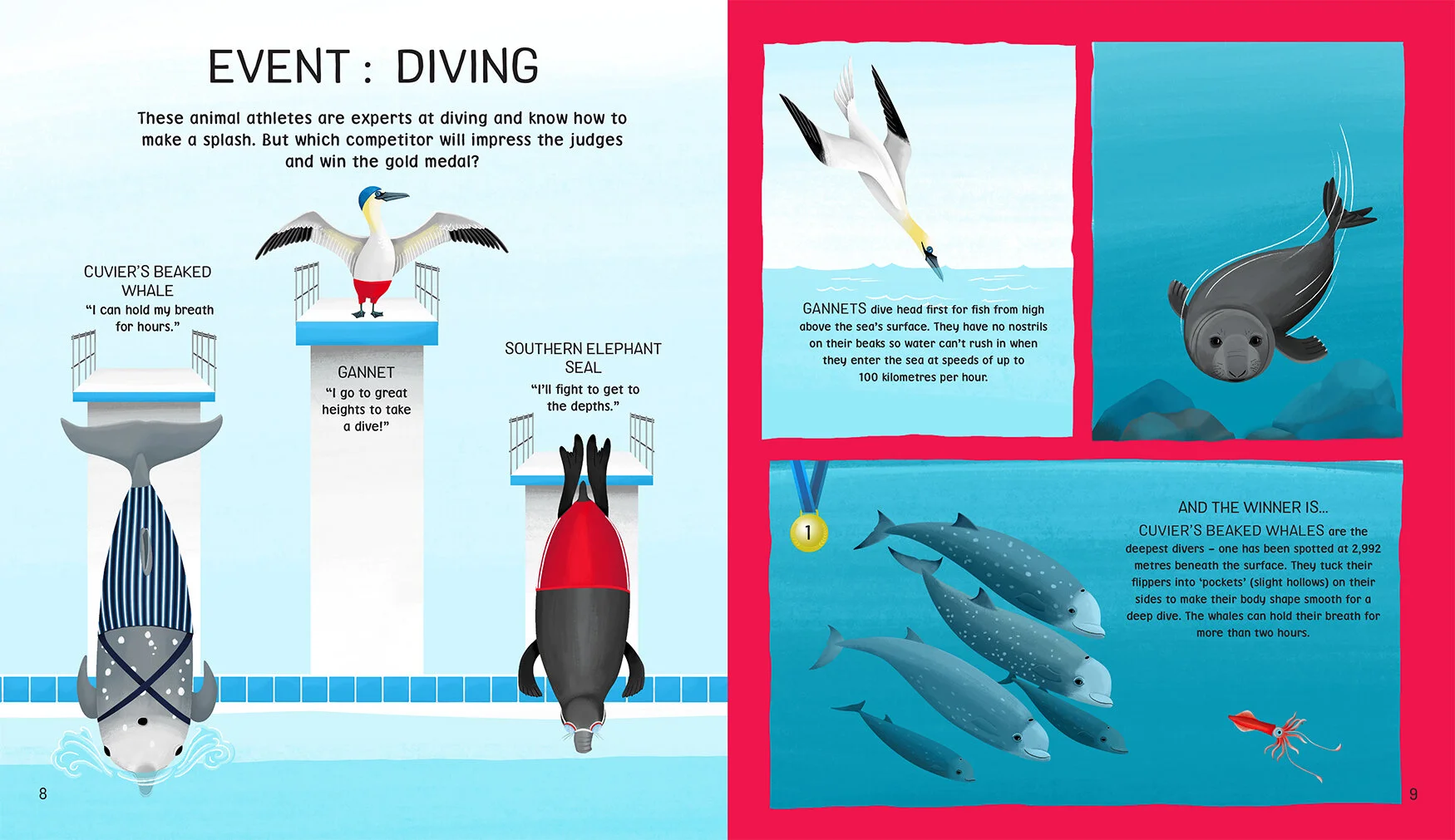 Animal Olympics — Daughter Earth