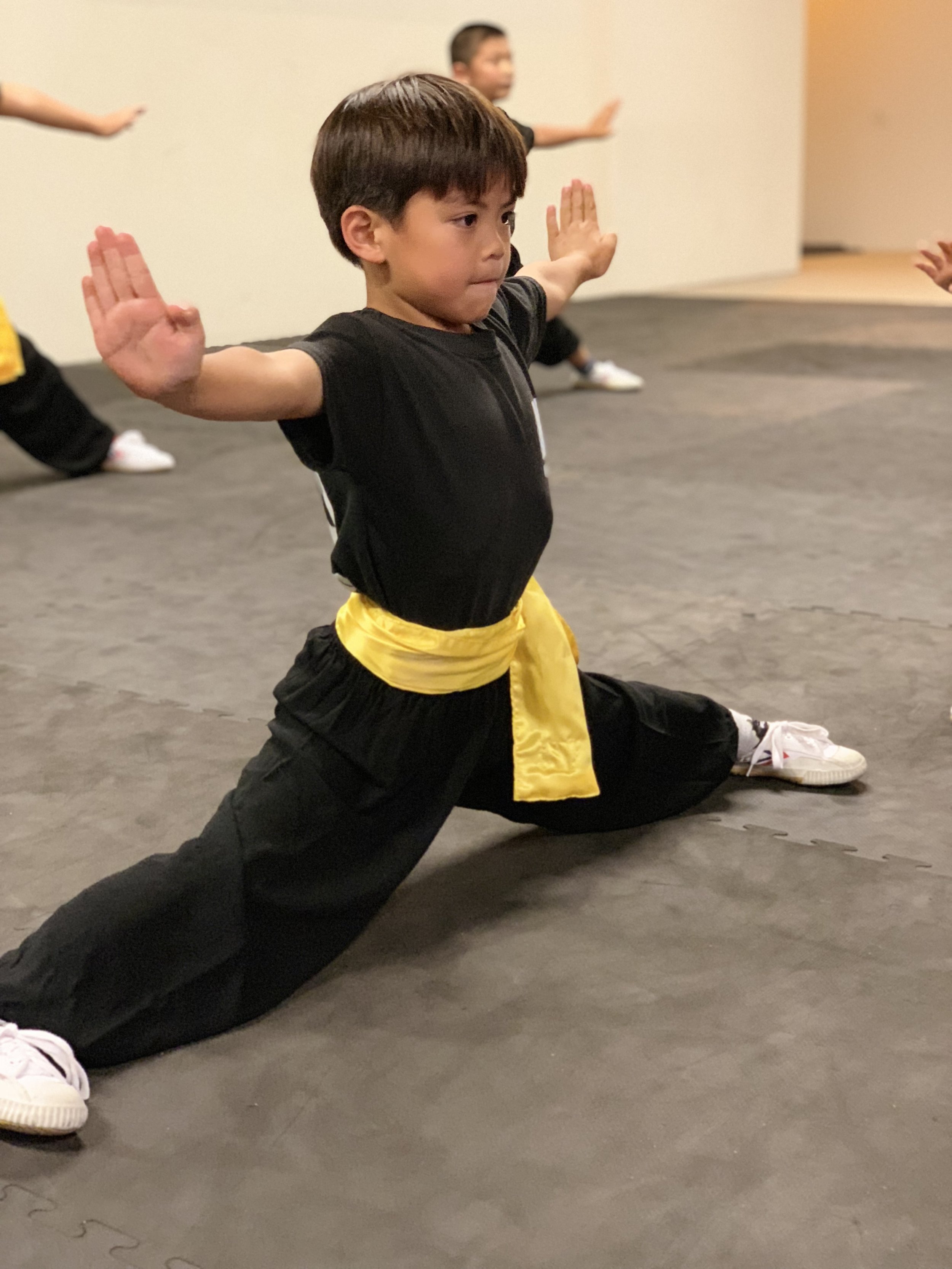 Class Schedule — NIU Wushu Kung Fu Academy, Irvine