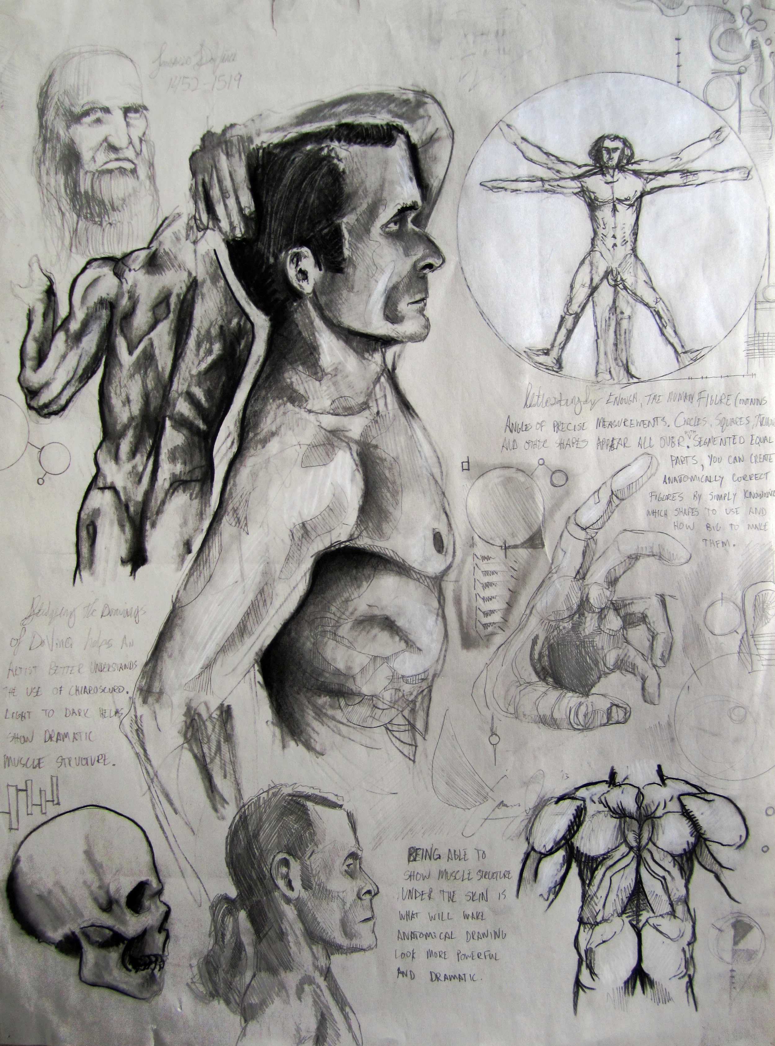DavinciStudy.jpg