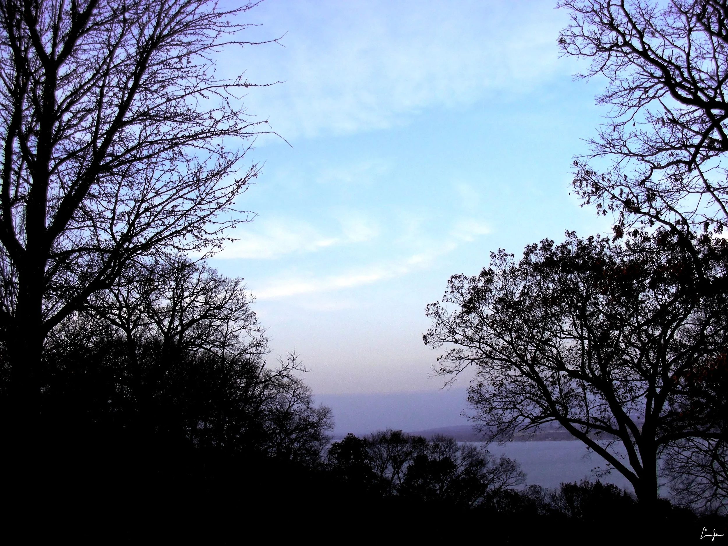 Landscape 1.jpg