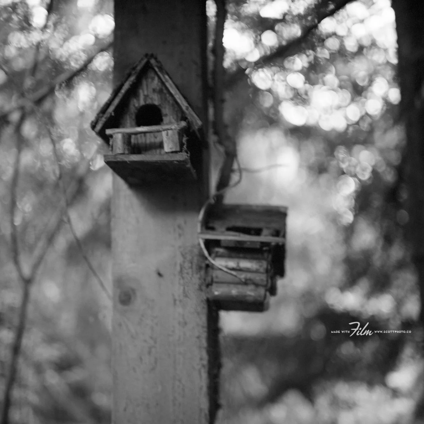 Photograph by Tim Scott. @Scott Photo Co.