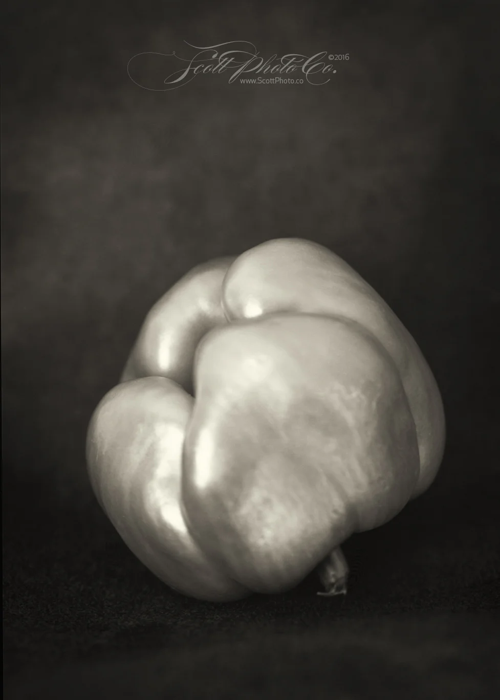 Pepper July 2016 Century Studio Camera 9 + 42cm Heliar + 5x7 Foma 100 + XTOL 1:1 Window light