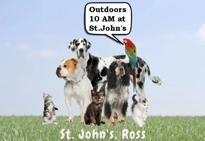 Blessing of the Animals at St. John's