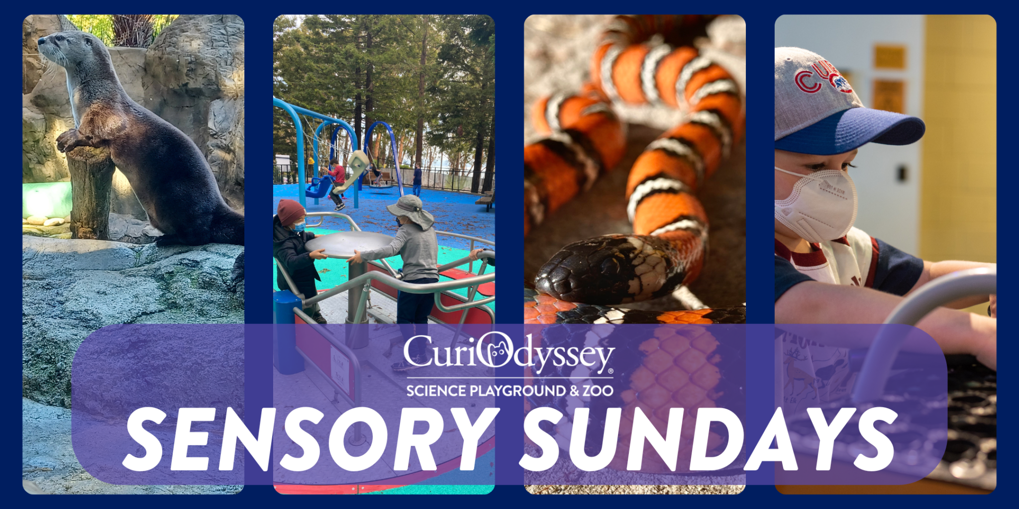 San Mateo: CuriOdyssey's Sensory Sundays