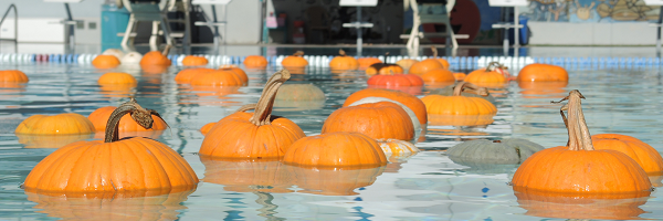 Santa Rosa Floating Pumpkin Patch
