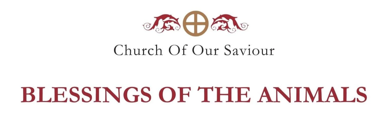Church Of Our Saviour Blessing of the Animals