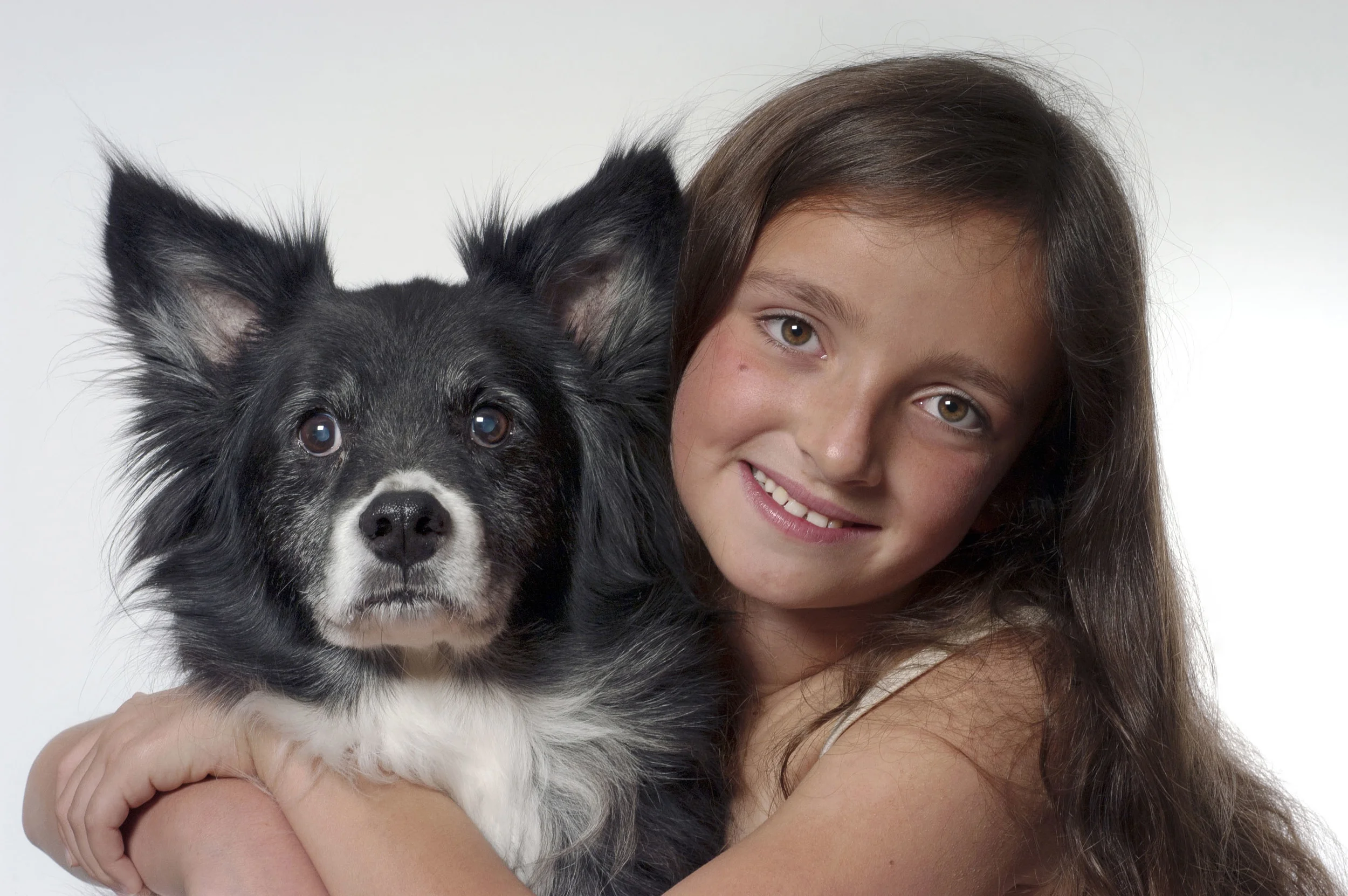 Blessing of the Animals &amp; Other Pawesome Ideas