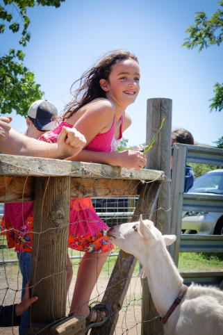 Know Your Farmer, Know Your Food