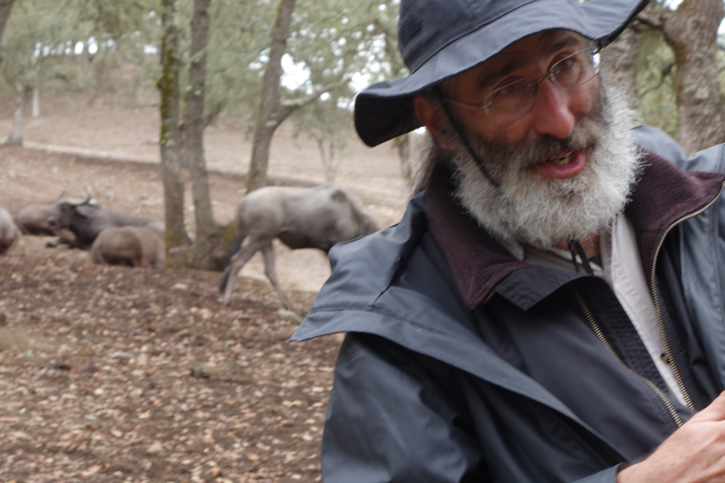 Robert is one of the many great tour guides.