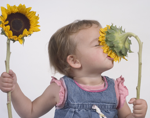 November Awesome List