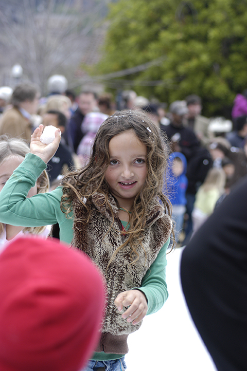 Mill Valley Winterfest