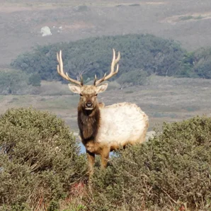 December Awesome List