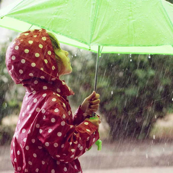 Marin Rainy Day Activities