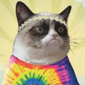 Peace Love Grumpy Cat