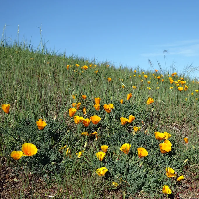 What's Happening This Weekend (April 3-5)