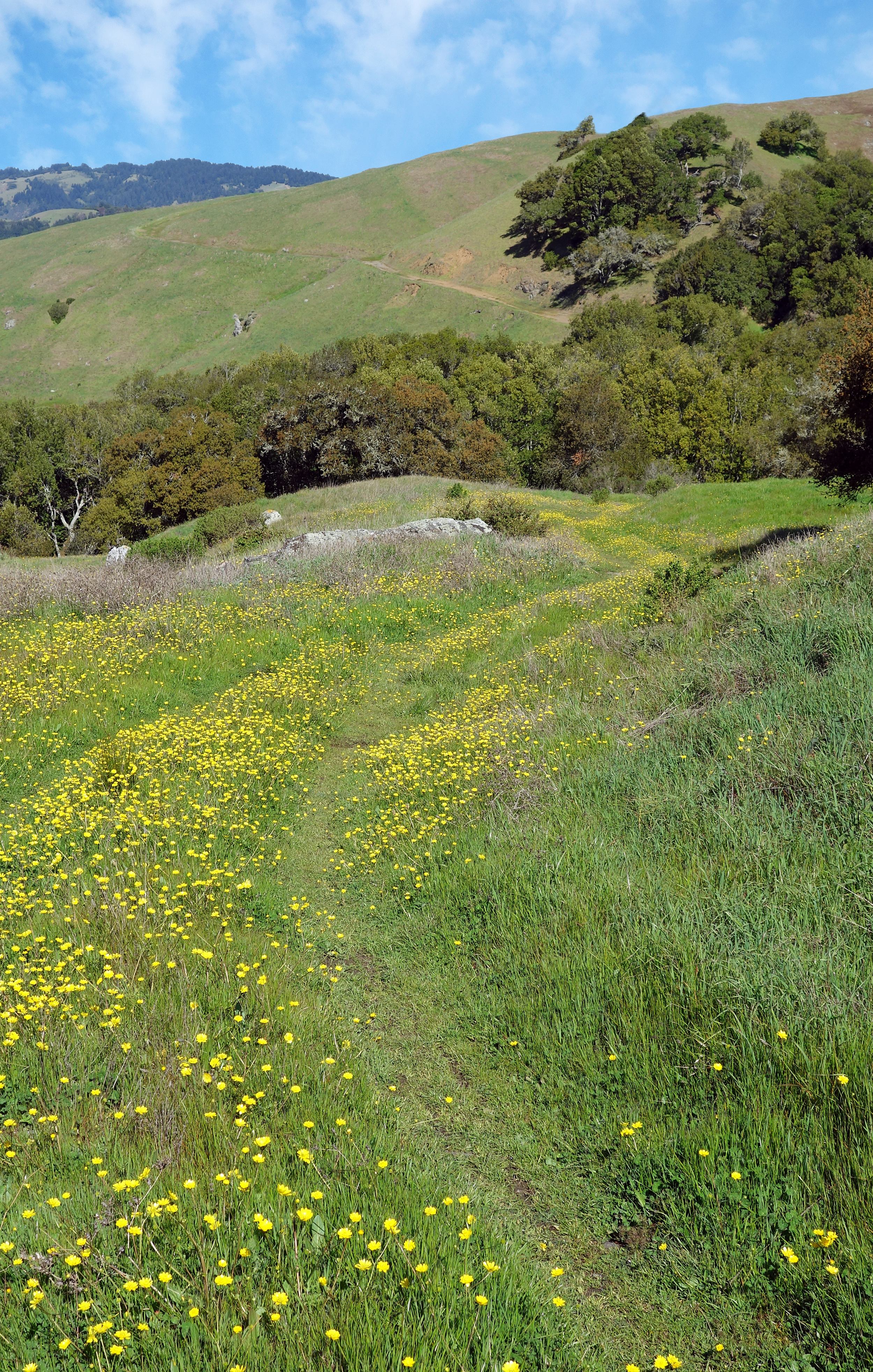 Road to Loma Alta