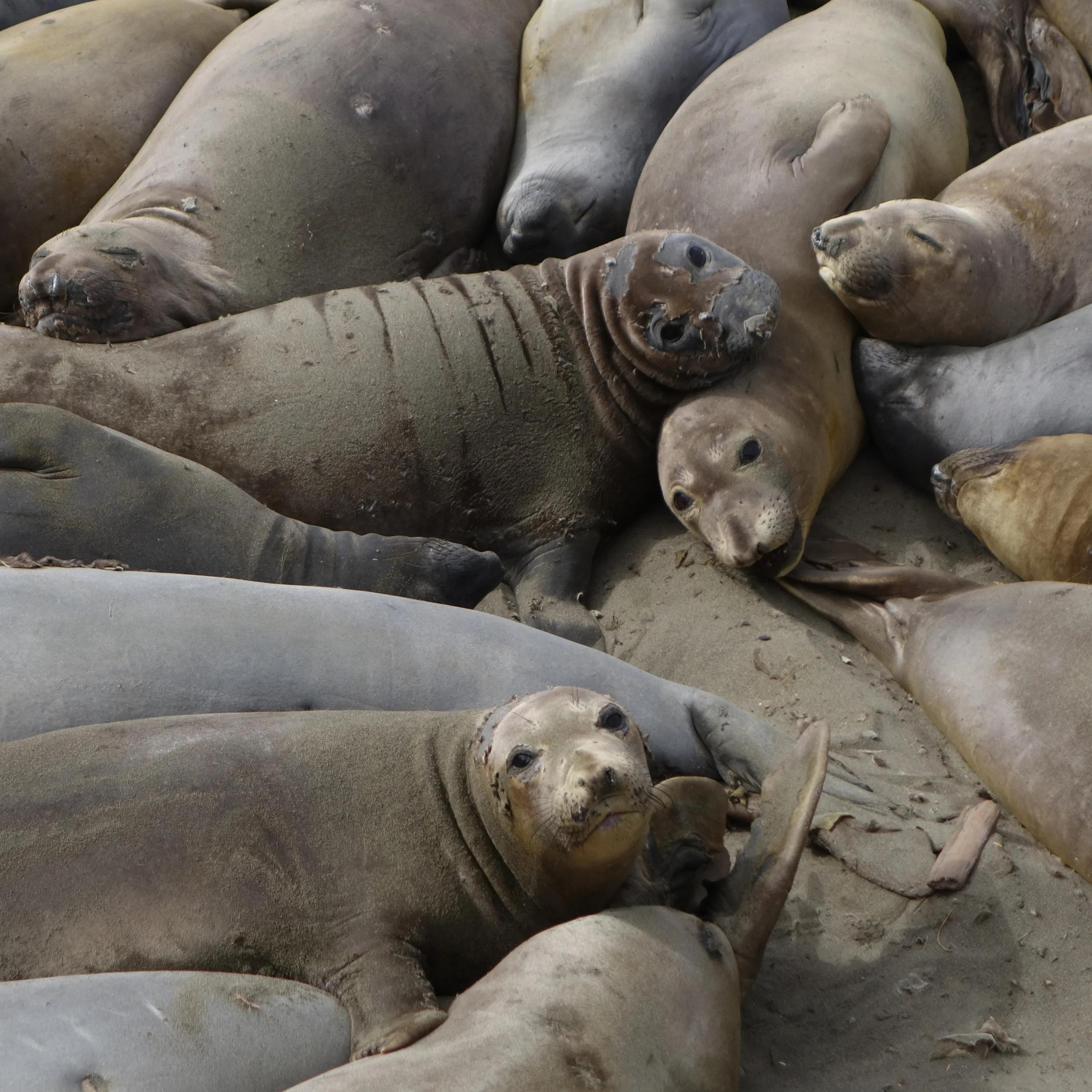 What's Happening this Weekend (April 24-26)