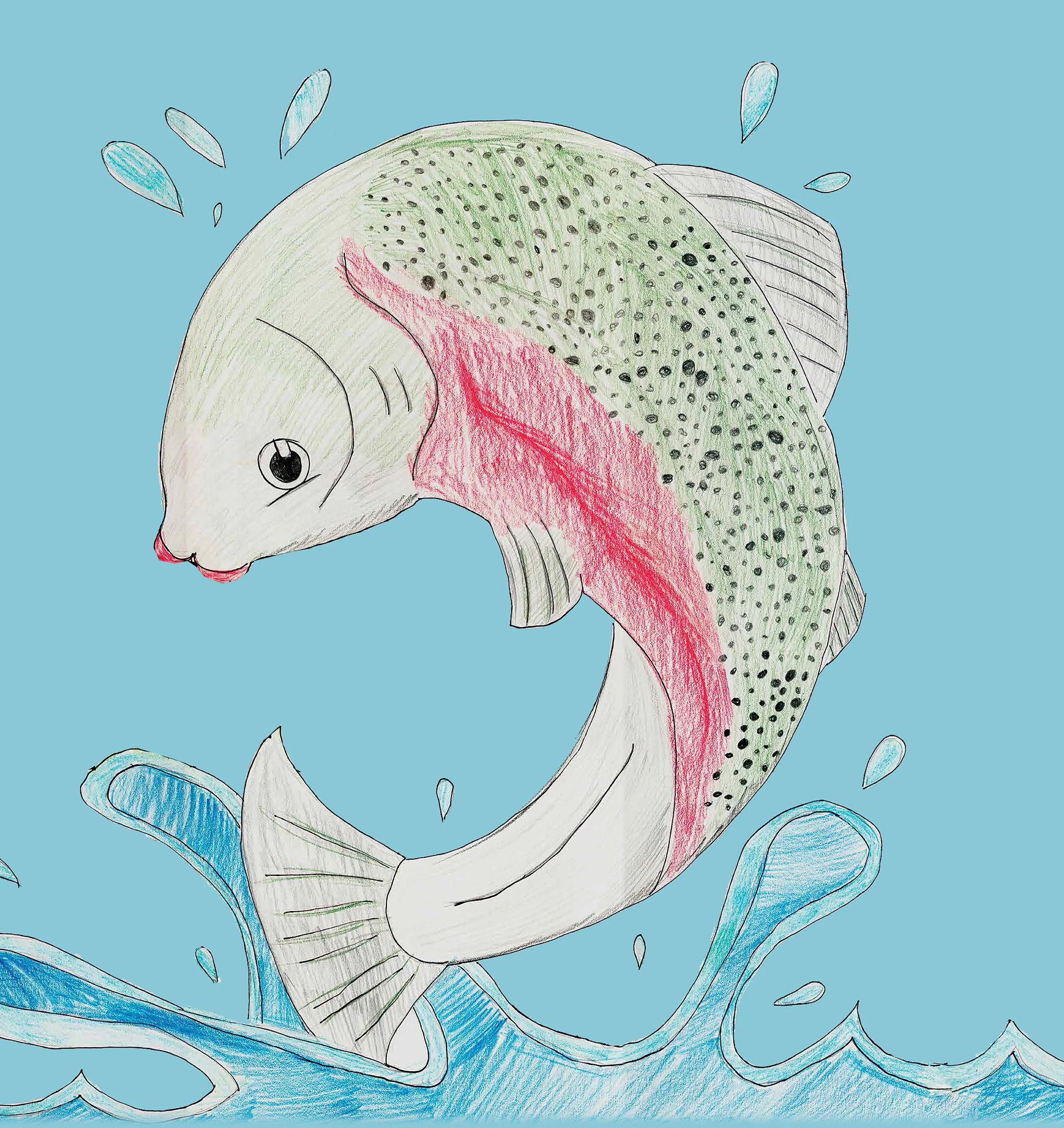 Salmon Release for Children