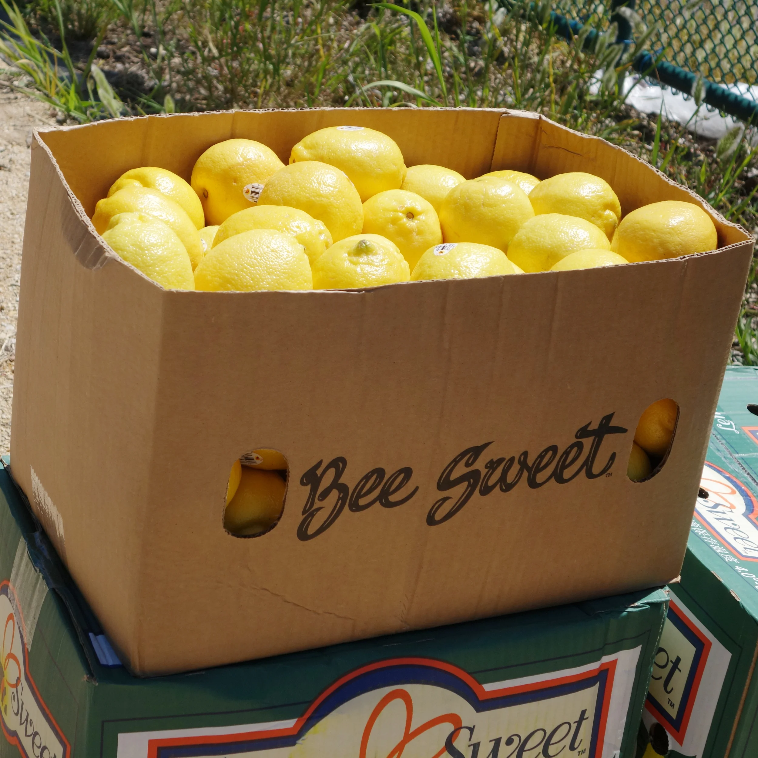 What's Happening This Weekend (May 15-17)