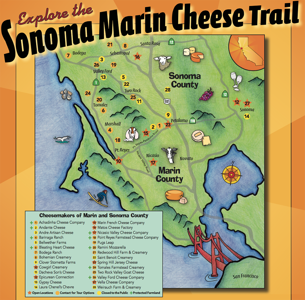 Explore the Sonoma Marin Cheese Trail