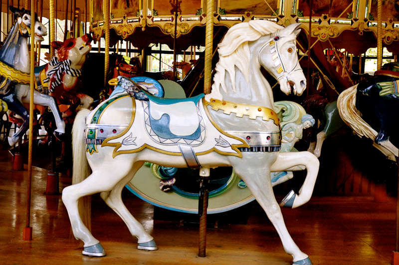 Herschell-Spillman Carousel at Golden Gate Park