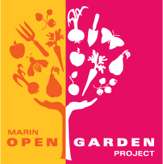 Weekly Backyard Garden Bounty Exchanges