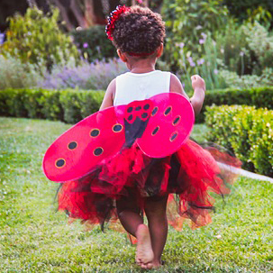 What's Happening This Weekend (June 26-28)