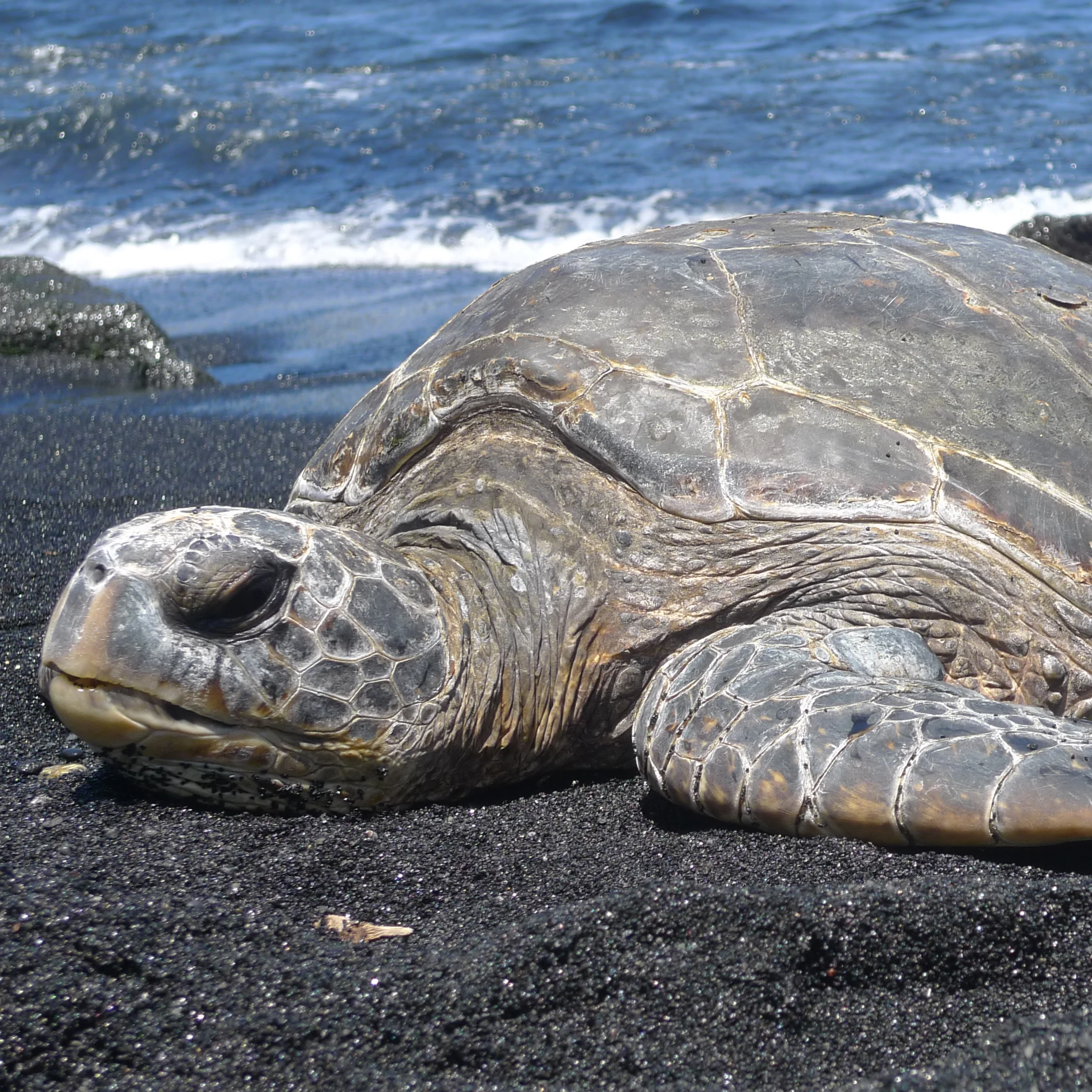 Big Island Suggestions