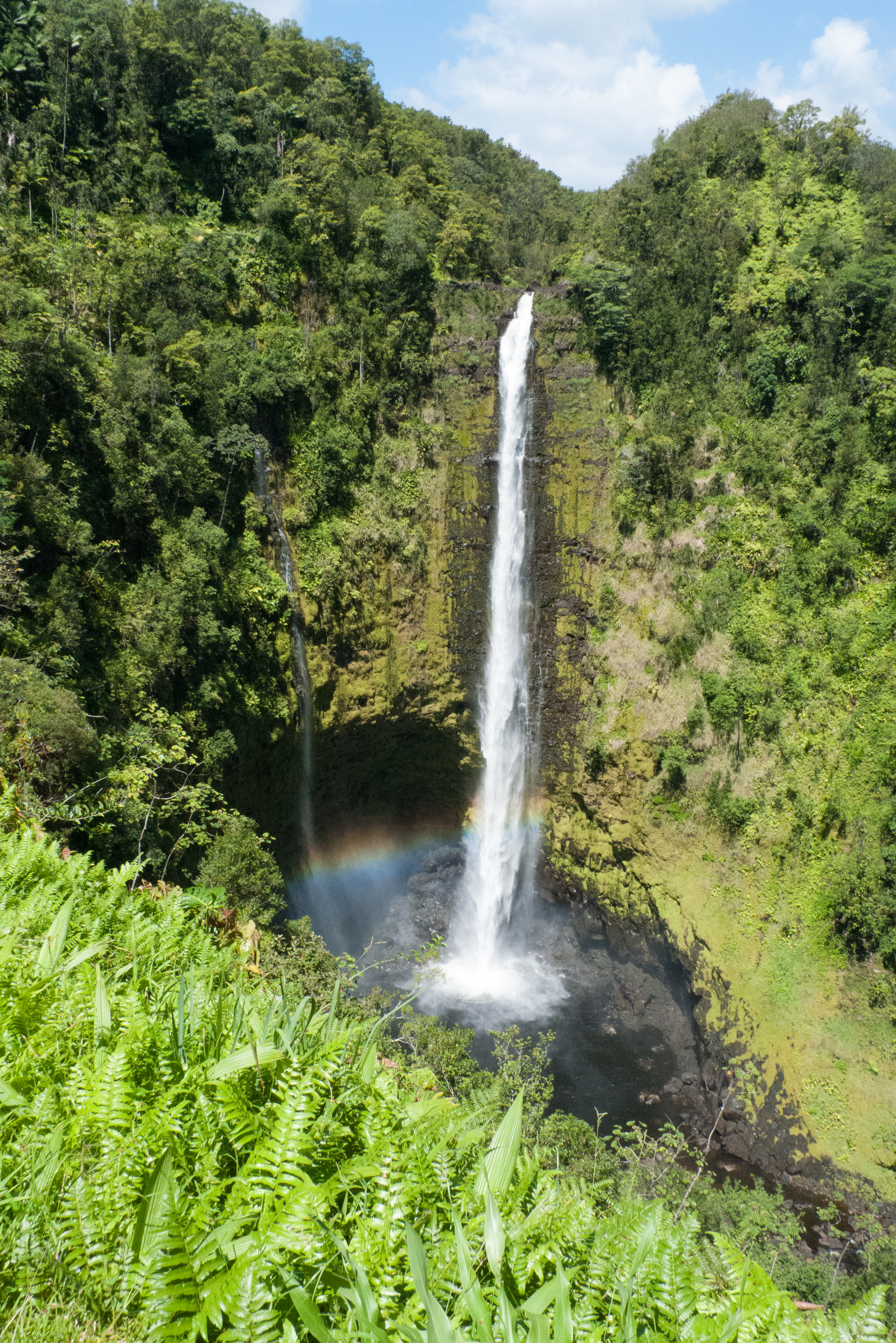 Rainbow (Waiānuenue) Falls