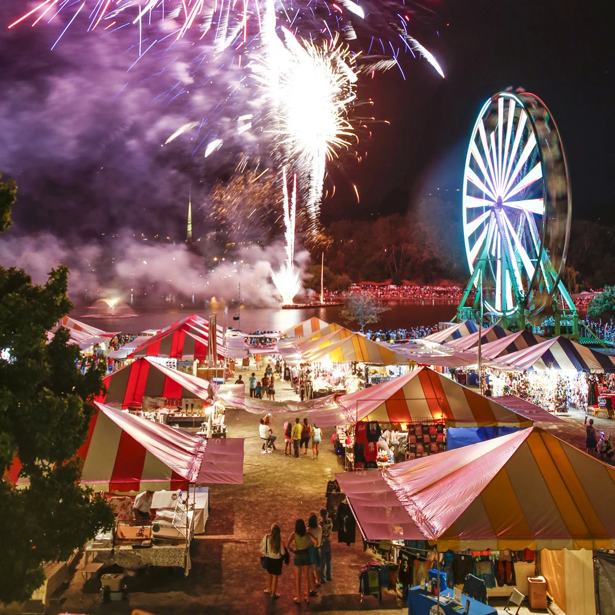 The Marin County Fair, it isn’t just about the rides, an Interview with Gabriella Calicchio