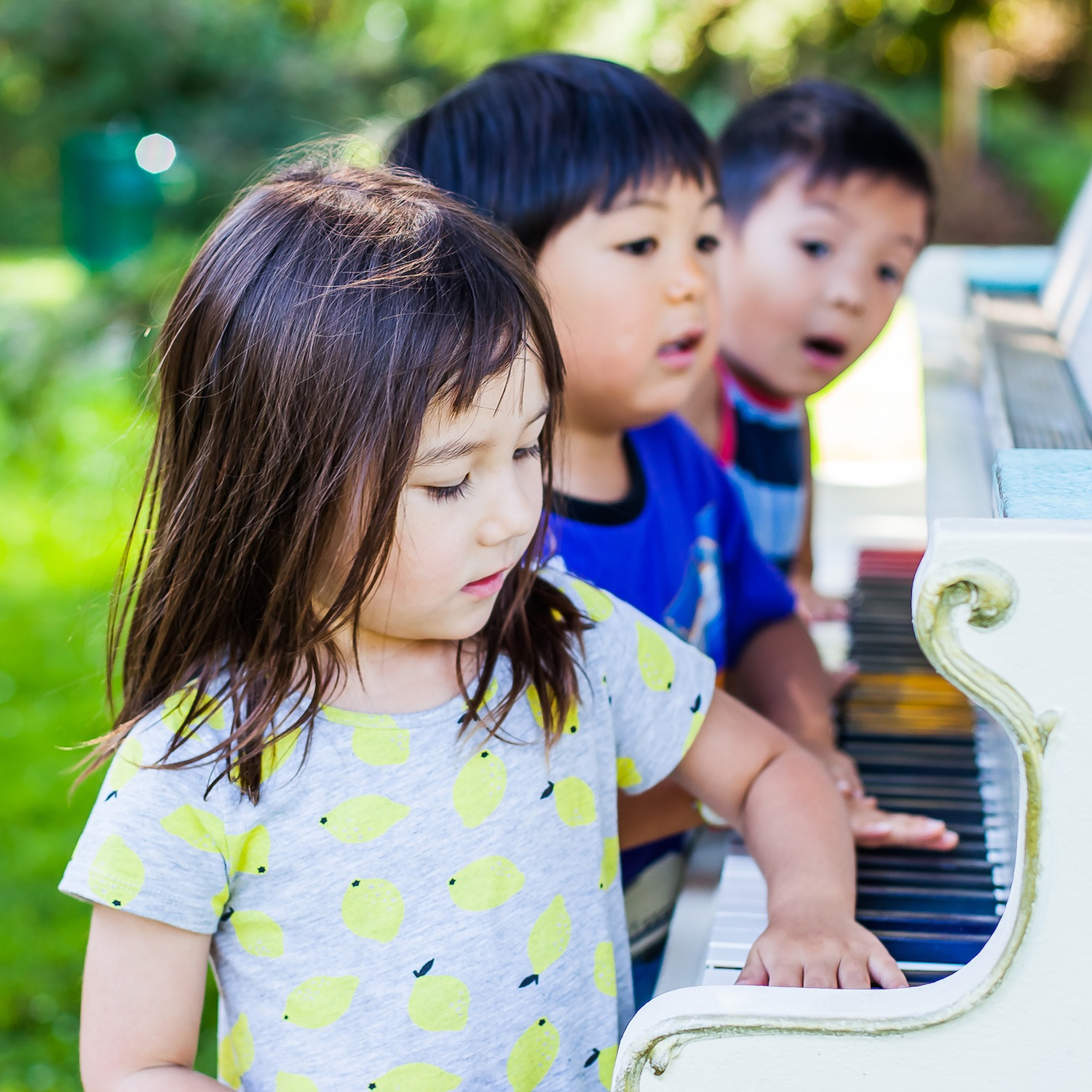 12 pianos for just 12 days to play at the San Francisco Botanical Garden 
