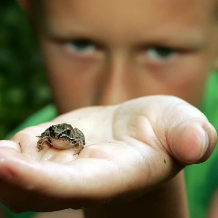 What's Happening This Weekend (July 17-19)