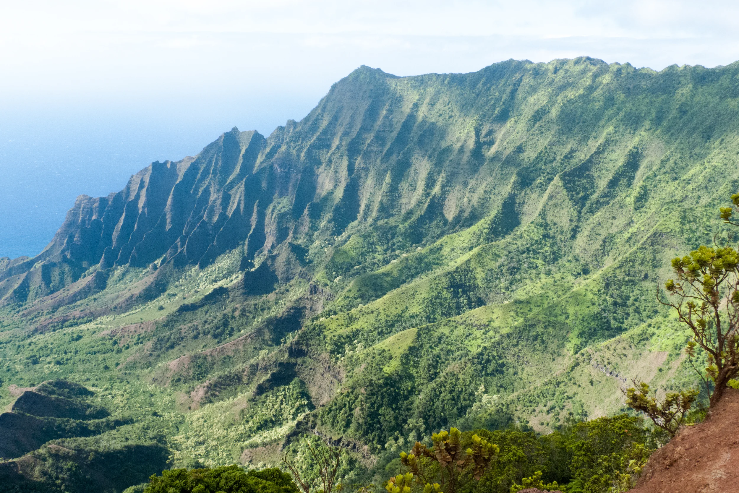 Waimea Canyon