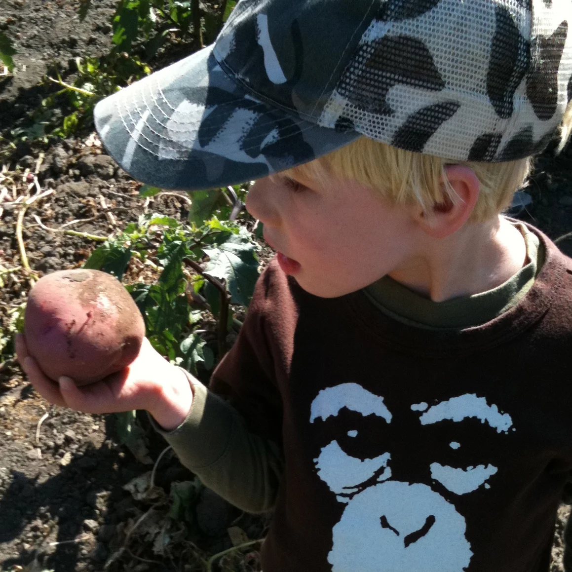  10 Simple Ways to Teach Kids to Love Gardening