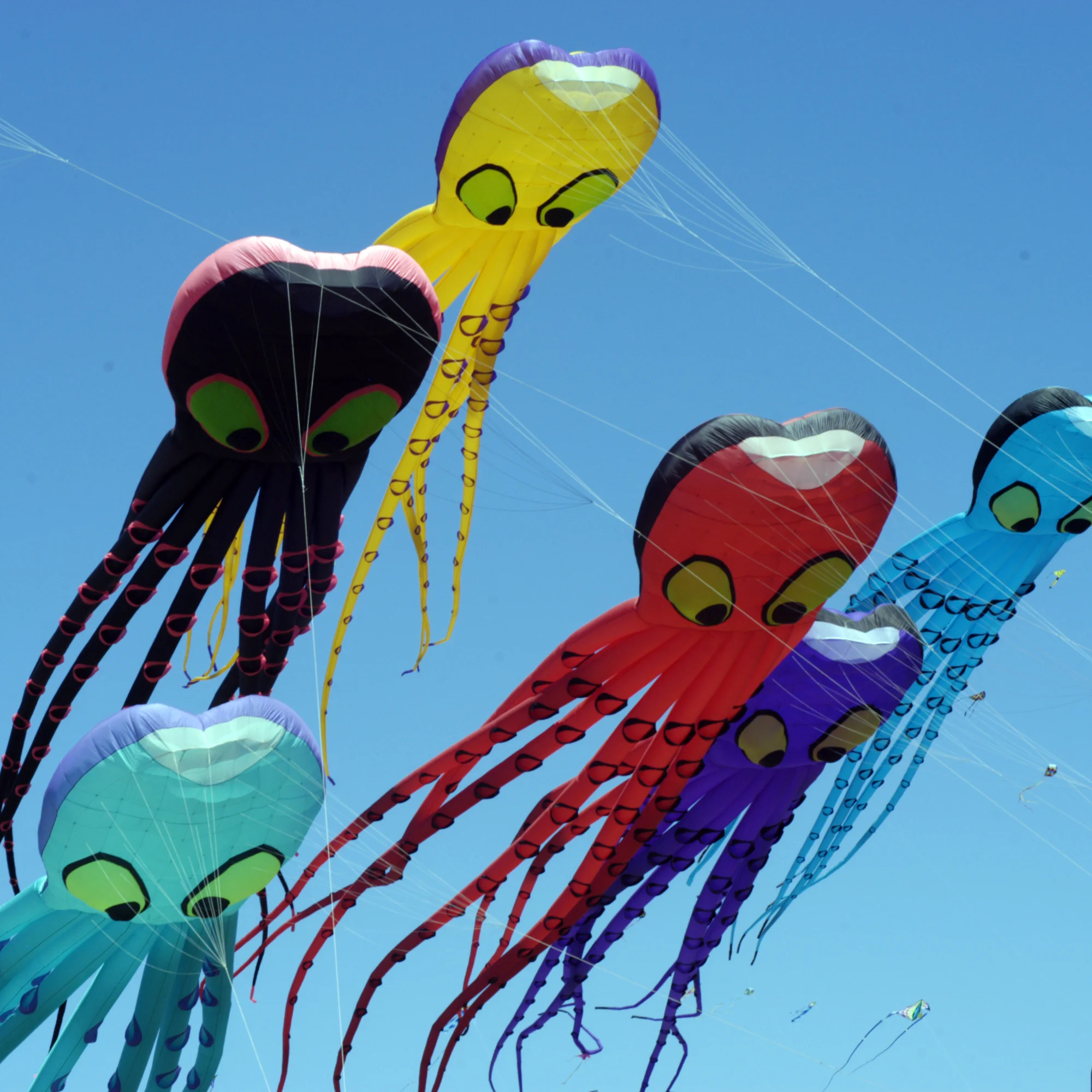 The Octopi in The Sky Returns To The #BerkeleyKiteFestival
