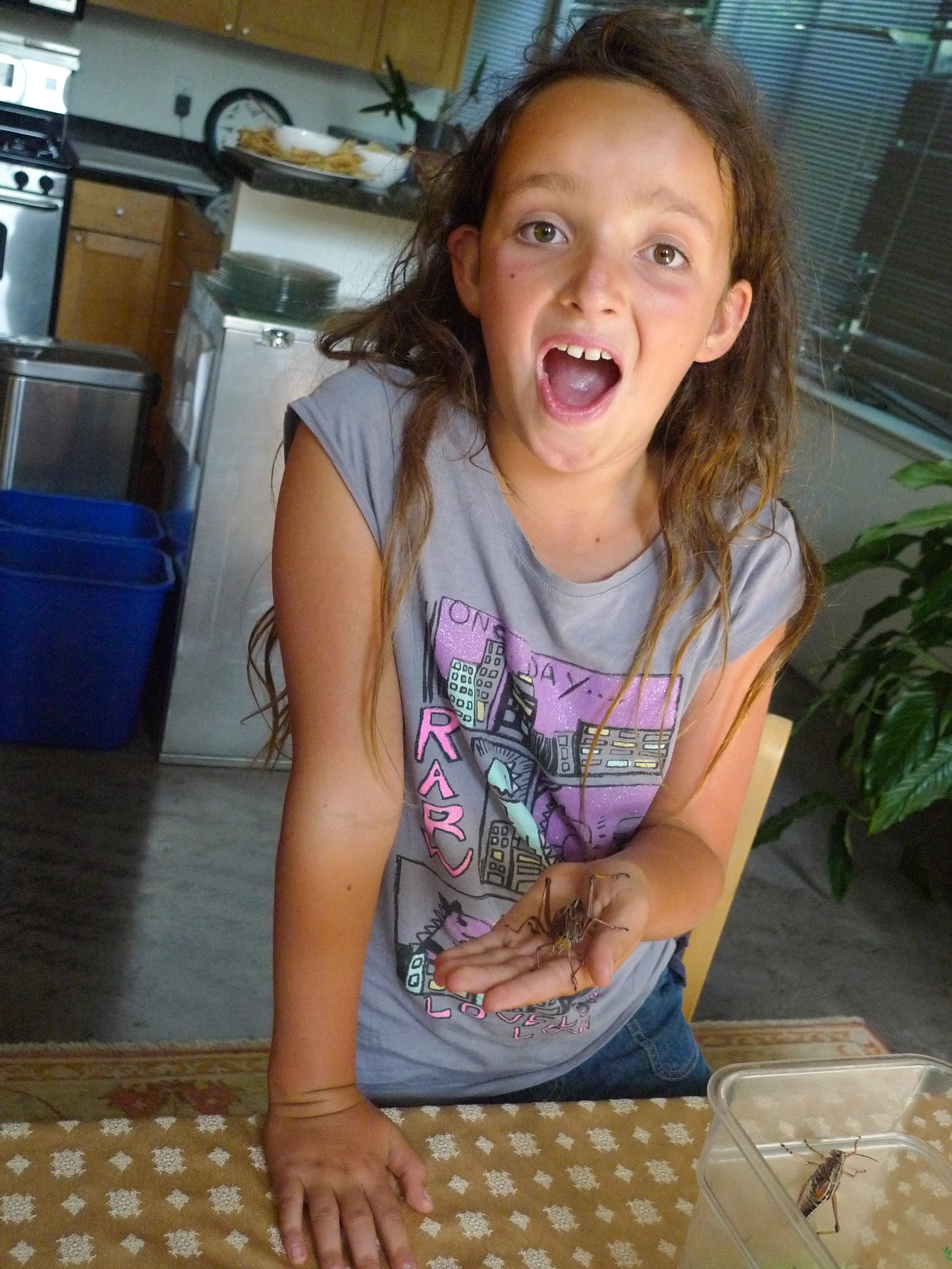Insect Discovery Lab