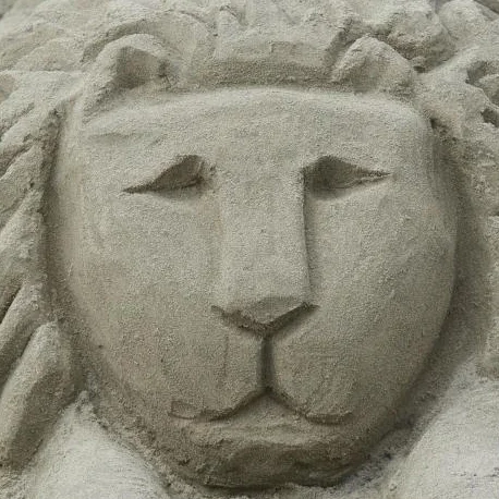 Tips and Tricks To Winning The Point Reyes Sand Sculpture Contest