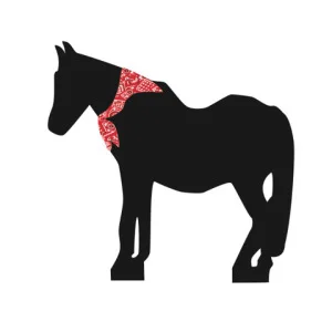 Bookmarks Presents Blackie's Hay Day