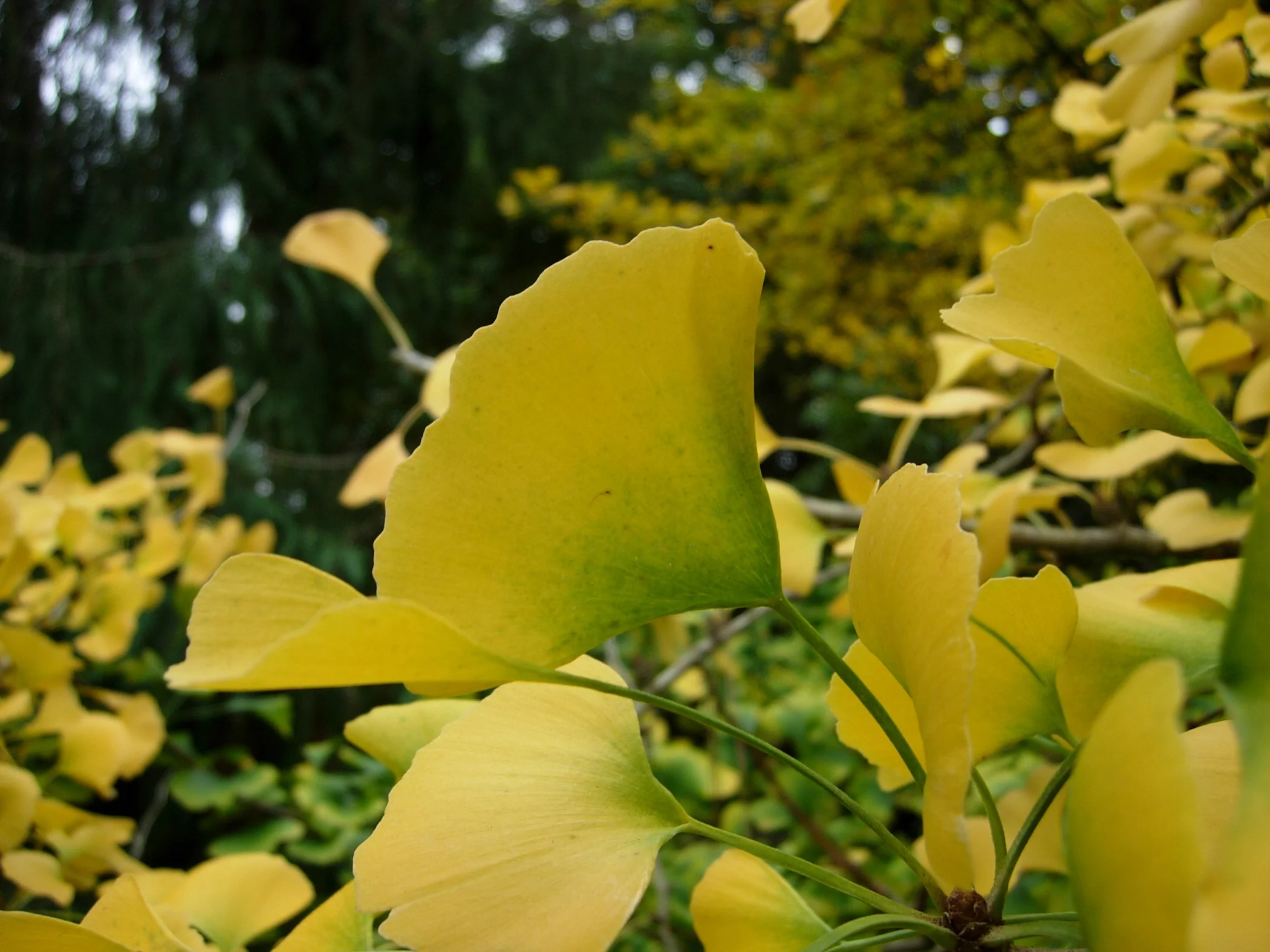 Photo by David Kruse-Pickler