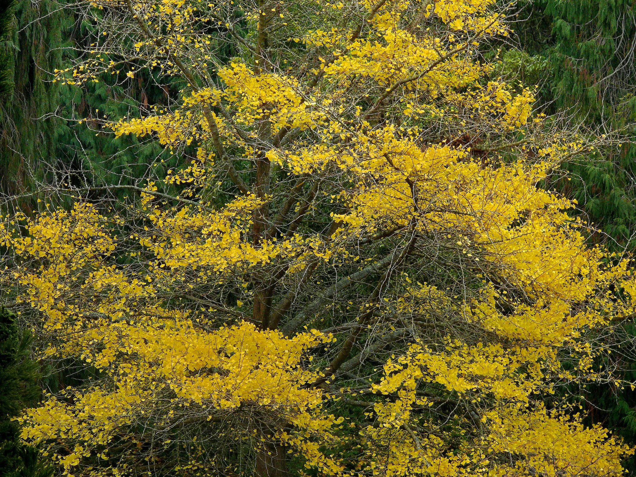 Photo by James Gaither