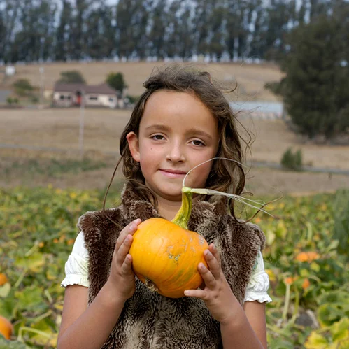 October Awesome List